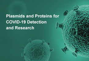 Plasmids Used for 2019-nCoV Detection and Research are In Stock Now